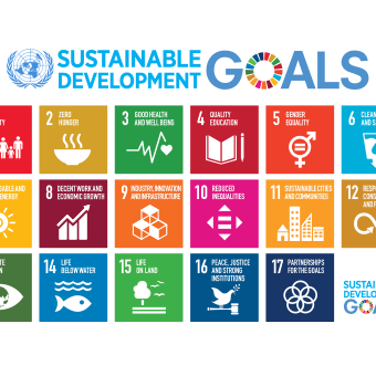 Sustainable development goals