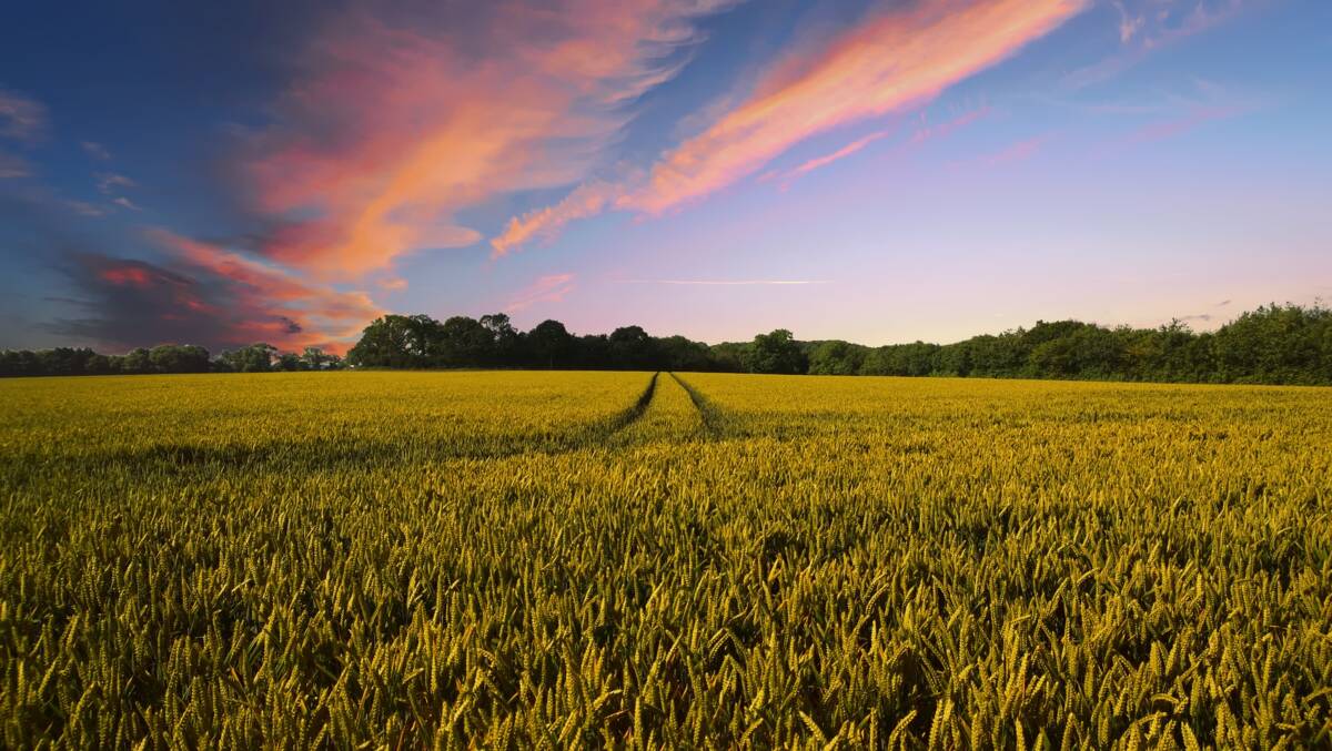 Landwirtschaft - Felder